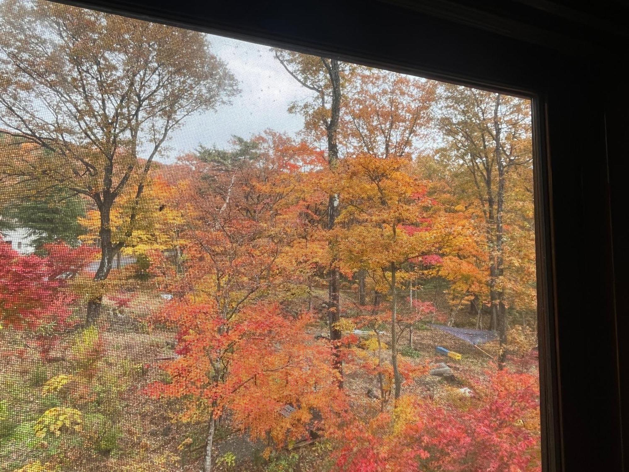 那須リゾートmomiji