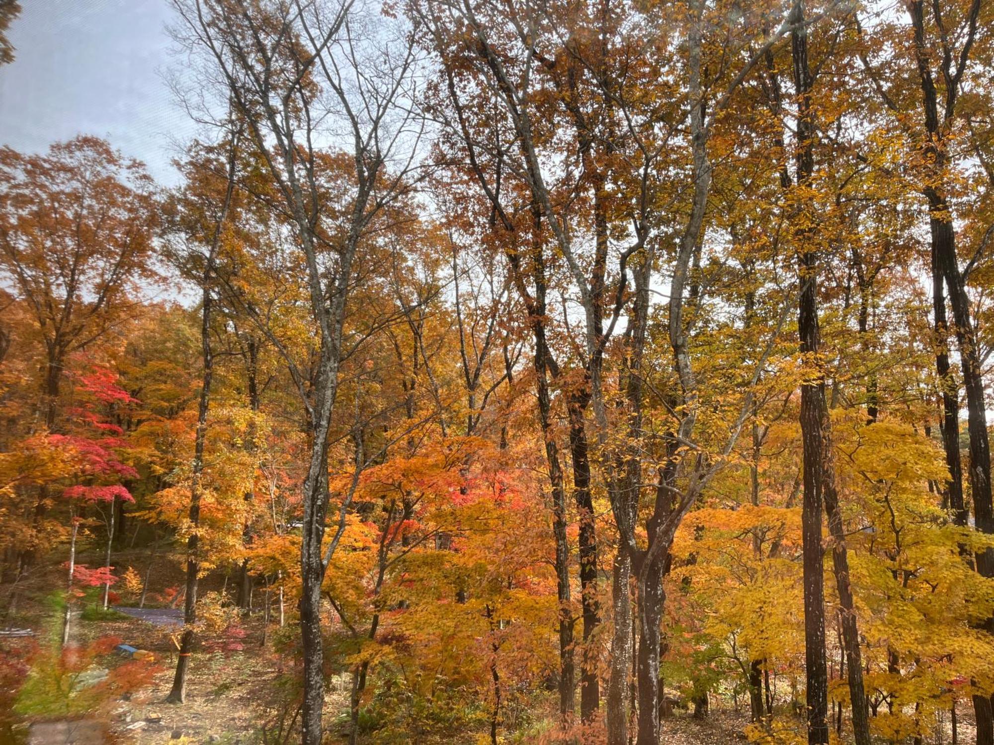 Homestay 那須リゾートmomiji Nasu