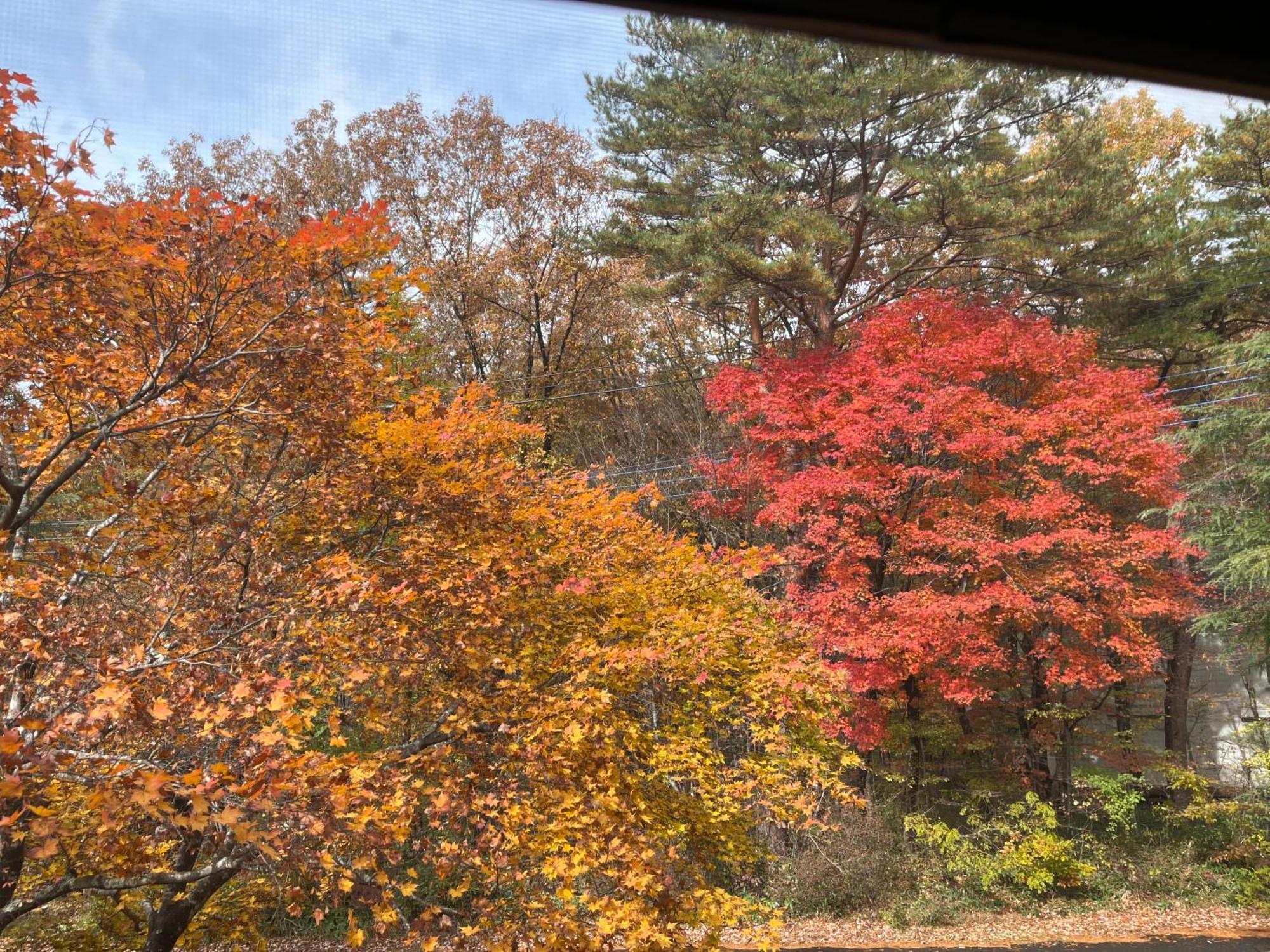 那須リゾートmomiji